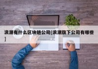 浪潮有什么区块链公司[浪潮旗下公司有哪些]