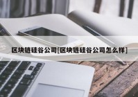 区块链硅谷公司[区块链硅谷公司怎么样]